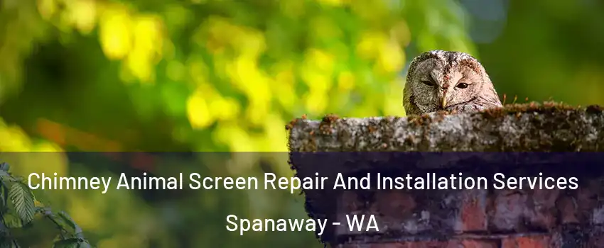  Chimney Animal Screen Repair And Installation Services Spanaway - WA