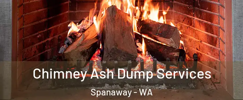  Chimney Ash Dump Services Spanaway - WA