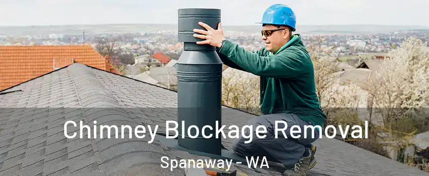  Chimney Blockage Removal Spanaway - WA