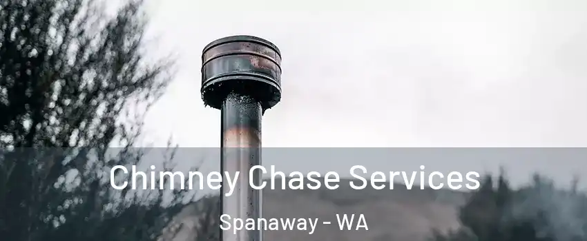  Chimney Chase Services Spanaway - WA