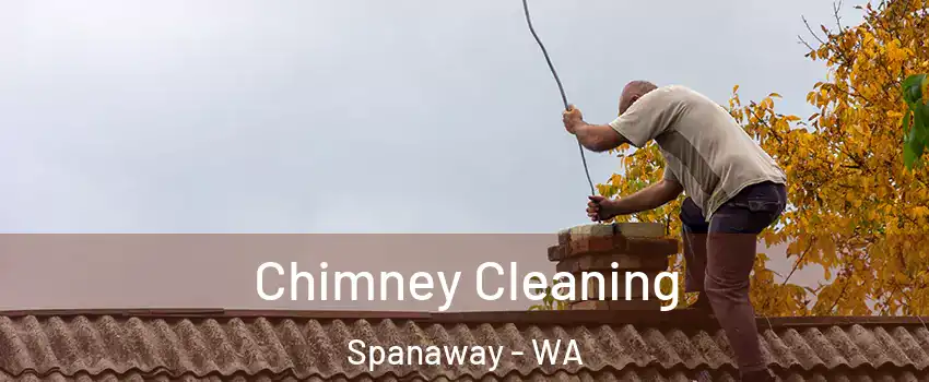  Chimney Cleaning Spanaway - WA