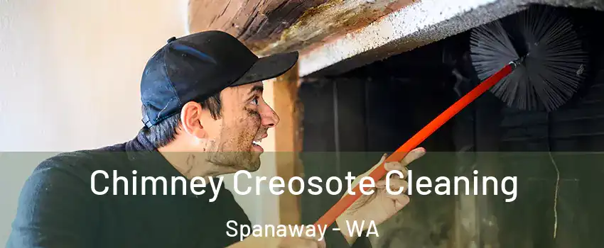  Chimney Creosote Cleaning Spanaway - WA