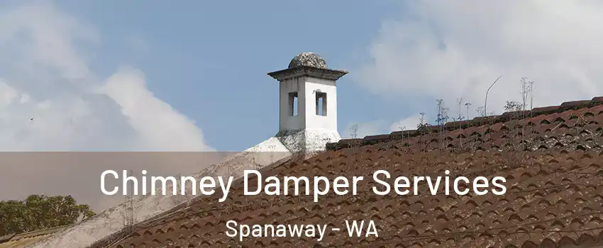  Chimney Damper Services Spanaway - WA
