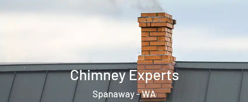 Chimney Experts Spanaway - WA