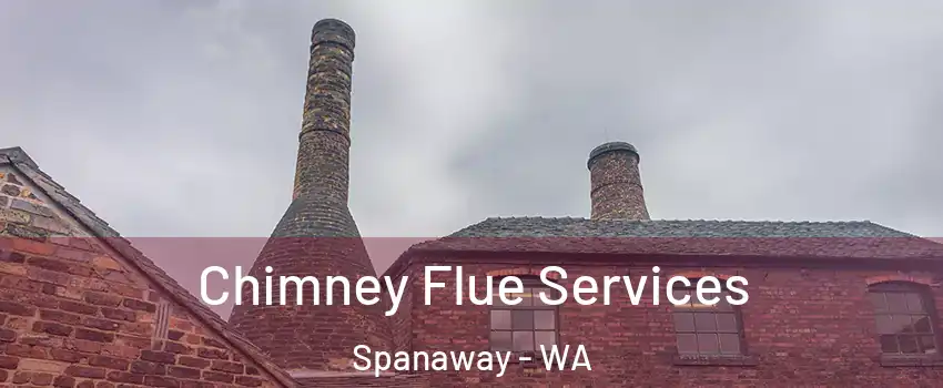  Chimney Flue Services Spanaway - WA