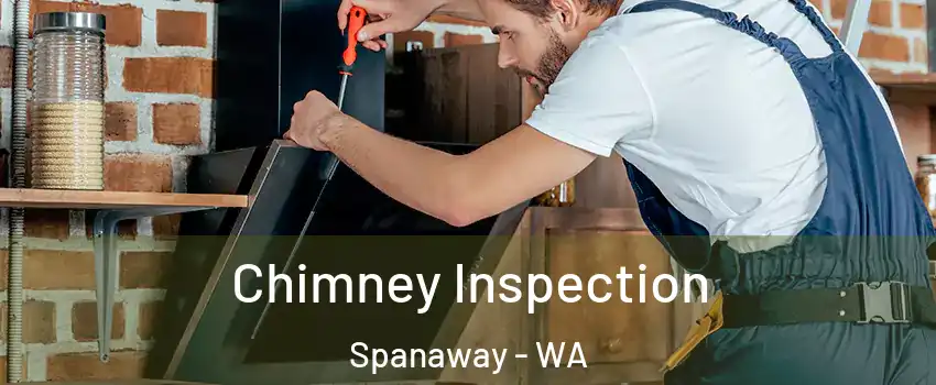  Chimney Inspection Spanaway - WA