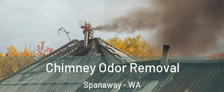  Chimney Odor Removal Spanaway - WA