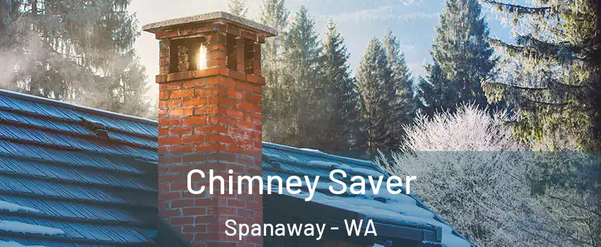  Chimney Saver Spanaway - WA