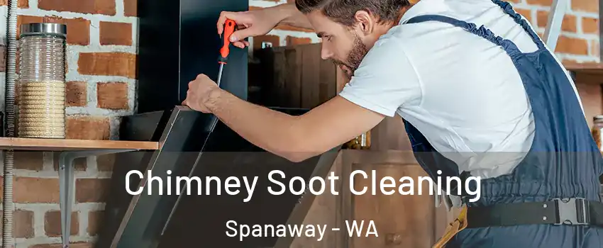  Chimney Soot Cleaning Spanaway - WA