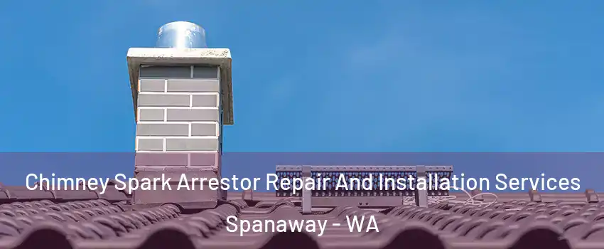  Chimney Spark Arrestor Repair And Installation Services Spanaway - WA
