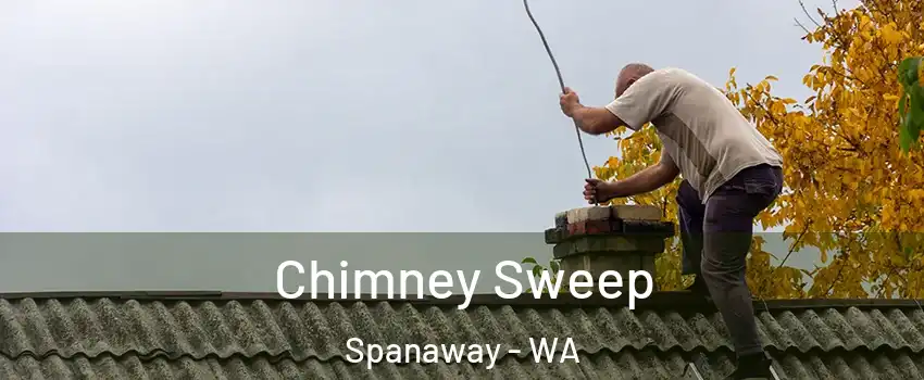  Chimney Sweep Spanaway - WA