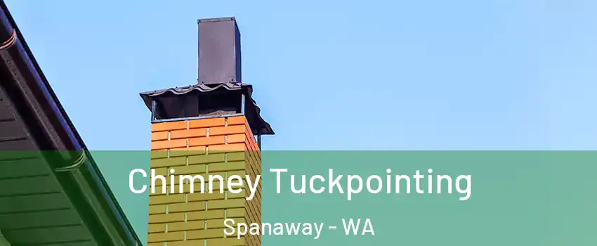  Chimney Tuckpointing Spanaway - WA
