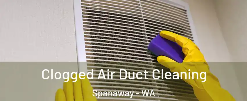  Clogged Air Duct Cleaning Spanaway - WA