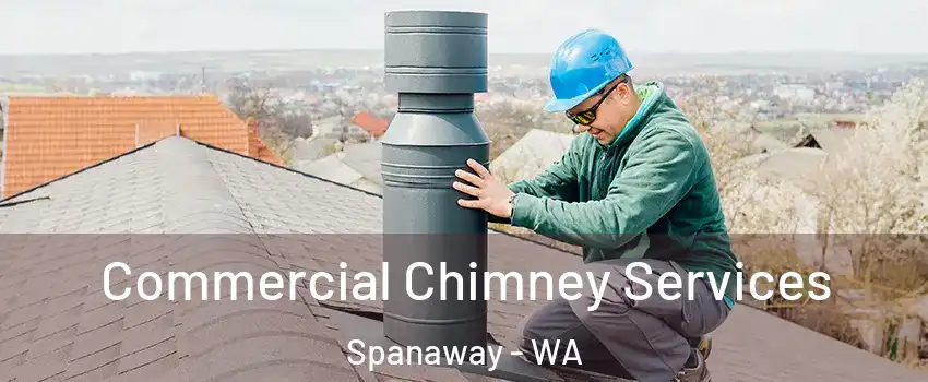  Commercial Chimney Services Spanaway - WA
