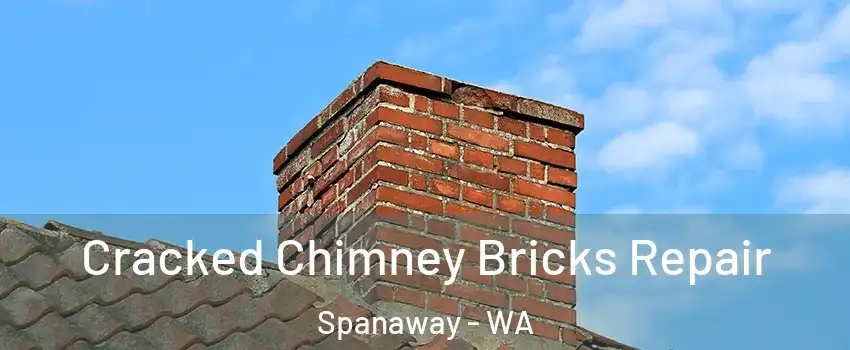  Cracked Chimney Bricks Repair Spanaway - WA