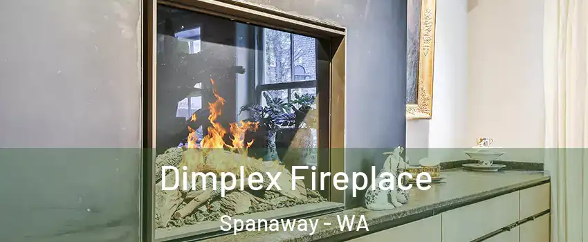  Dimplex Fireplace Spanaway - WA
