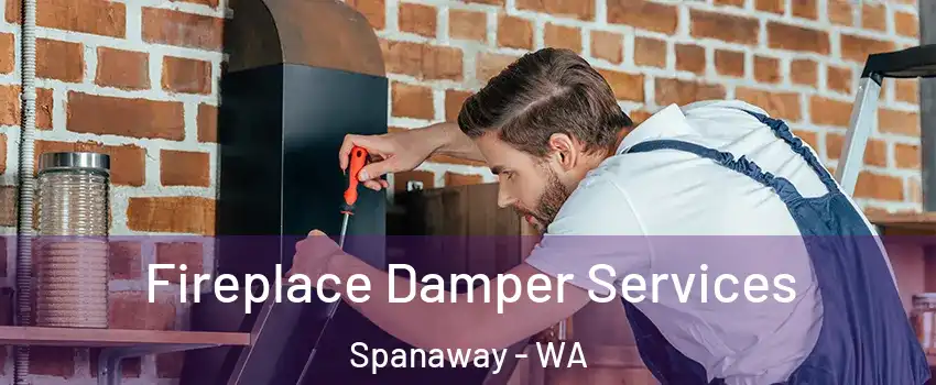  Fireplace Damper Services Spanaway - WA
