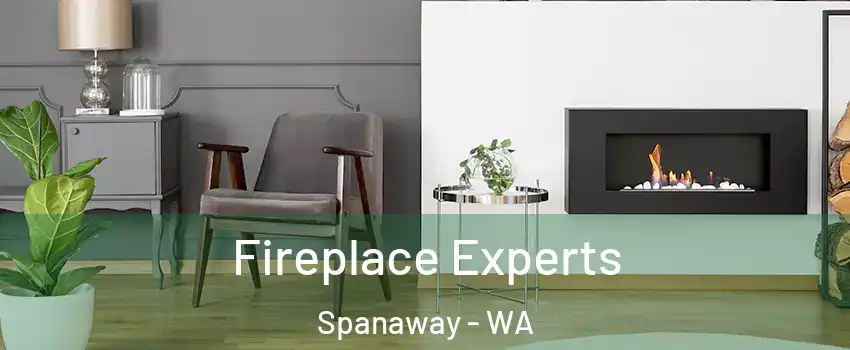  Fireplace Experts Spanaway - WA