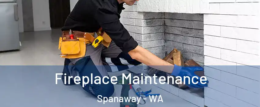  Fireplace Maintenance Spanaway - WA