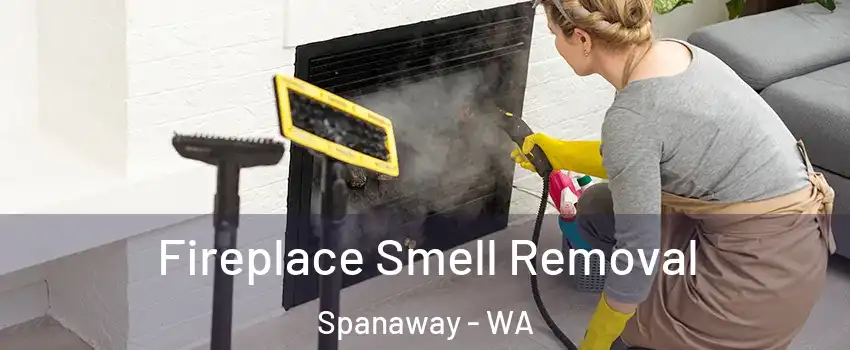  Fireplace Smell Removal Spanaway - WA