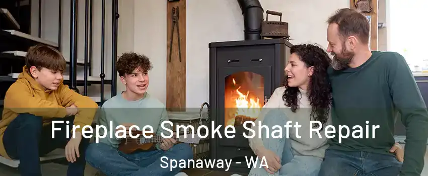  Fireplace Smoke Shaft Repair Spanaway - WA