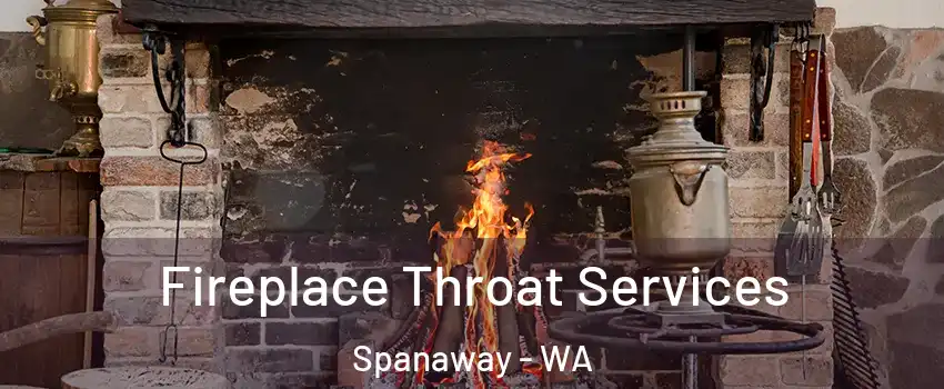  Fireplace Throat Services Spanaway - WA