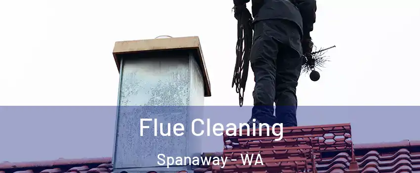  Flue Cleaning Spanaway - WA