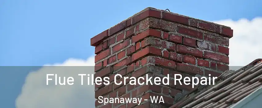  Flue Tiles Cracked Repair Spanaway - WA