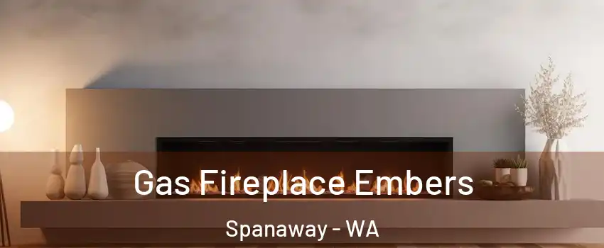  Gas Fireplace Embers Spanaway - WA