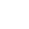 Professional Chimney Flue Installation in Spanaway, Washington
