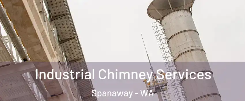  Industrial Chimney Services Spanaway - WA