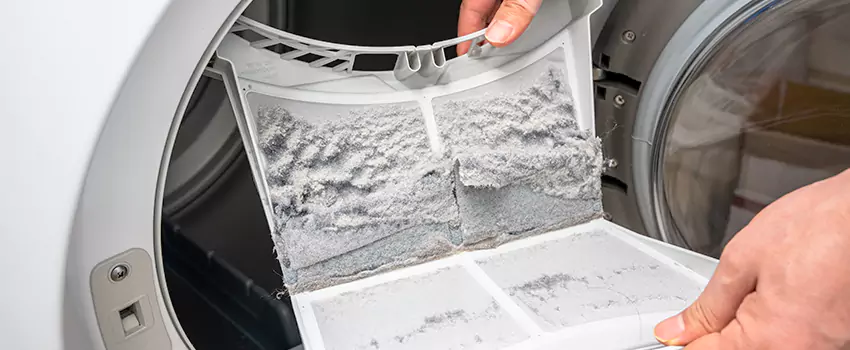 Best Dryer Lint Removal Company in Spanaway, Washington