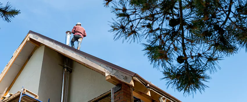 Birds Removal Contractors from Chimney in Spanaway, WA
