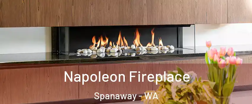  Napoleon Fireplace Spanaway - WA