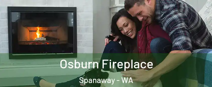  Osburn Fireplace Spanaway - WA